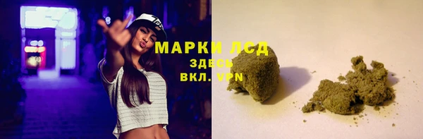 spice Богородицк